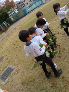 ツルで遊んでいる子どもたちの写真