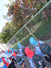 地域に出かけている子どもたちの写真