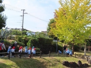公園を散策している子どもたちの写真