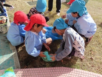 花を植えている子どもたちの写真