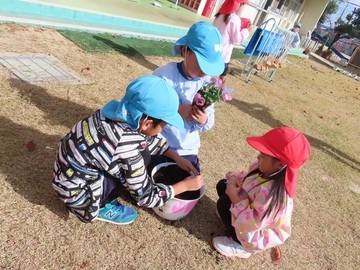 花を植えている子どもたちの写真