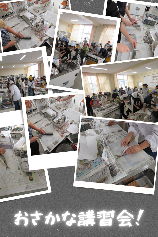 おさかな講習会