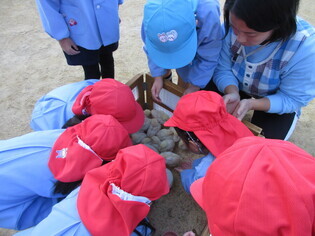 動物と触れ合っている子どもたちの写真