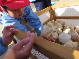 動物と触れ合っている子どもたちの写真