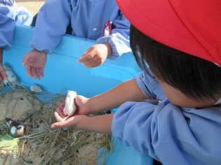 動物と触れ合っている子どもたちの写真