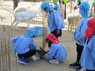 動物と触れ合っている子どもたちの写真