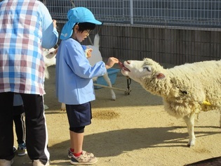 動物と触れ合っている子どもたちの写真