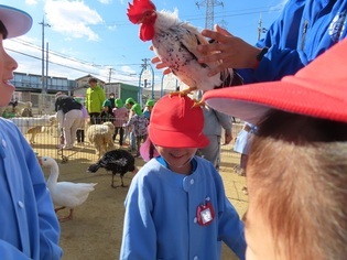 動物と触れ合っている子どもたちの写真