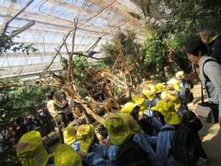 木の上にもいる