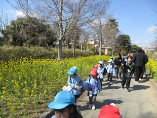 マーヤのお話に出てきたお花畑みたい