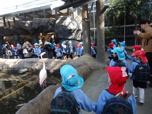 いろいろなとりさんがいるね