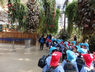 きれいなお花もたくさんあったよ