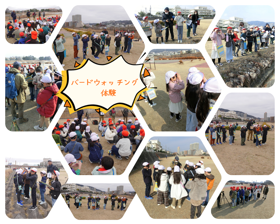 バードウォッチング