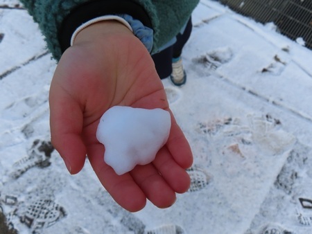 雪を集めた子どもの手の写真