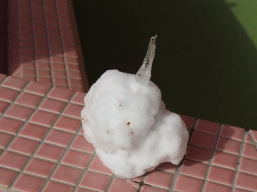 子どもが作った雪だるまの写真