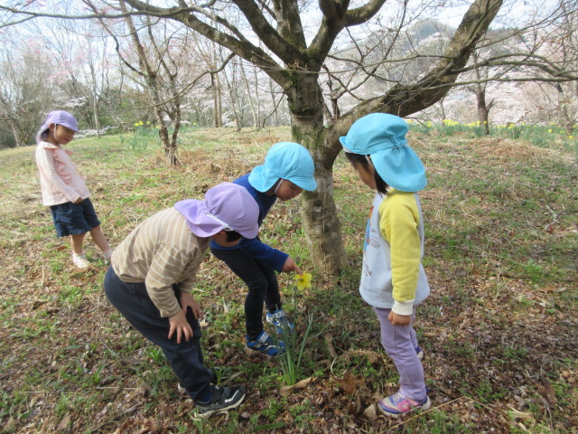 ごろく山里