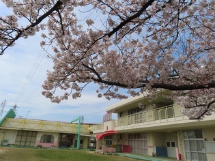 桜と園舎の写真