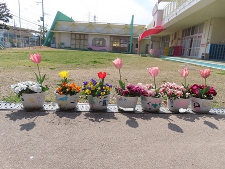 子どもたちが植えたチューリップの写真