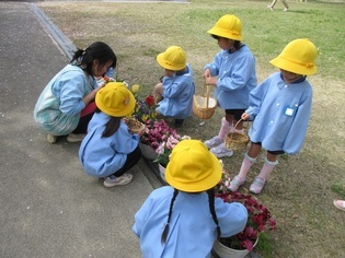 育てている花を見ている子どもたちの写真