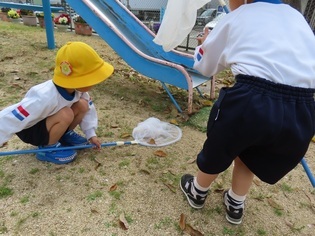 虫を捕まえている子どもたちの写真