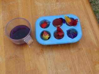 子どもたちが作ったごちそうの写真