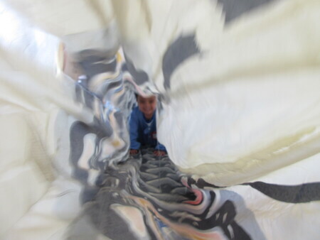 こいのぼりをくぐっている子どもたちの写真3