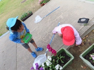 虫探しをしている子どもたちの写真