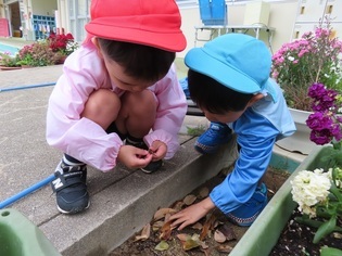虫探しをしている子どもたちの写真