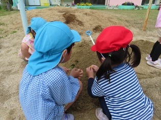 山に飾り付けている子どもたちの写真