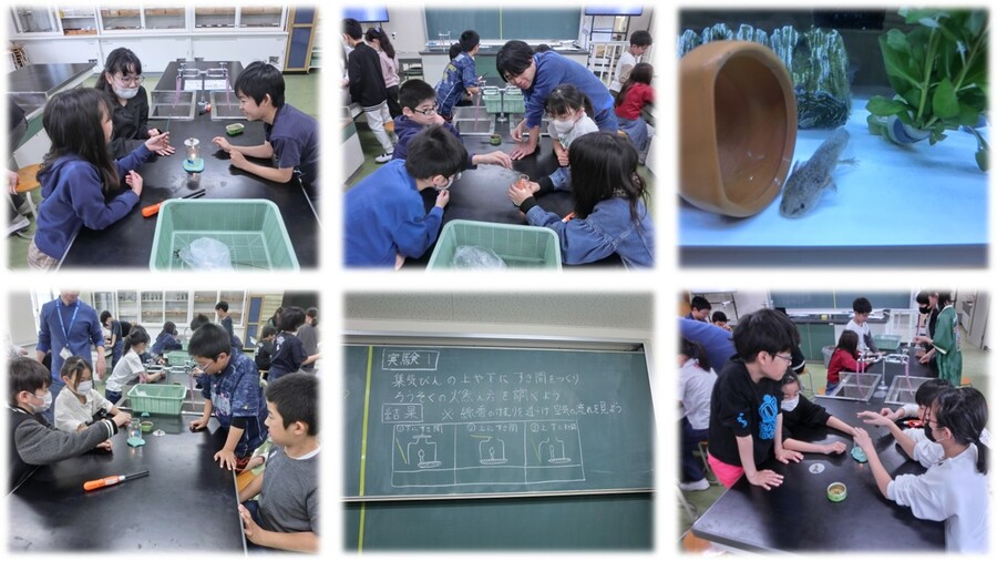 理科の授業の様子