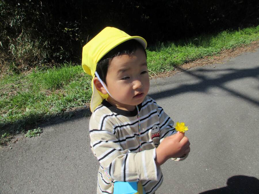 たんぽぽ見つけたよ