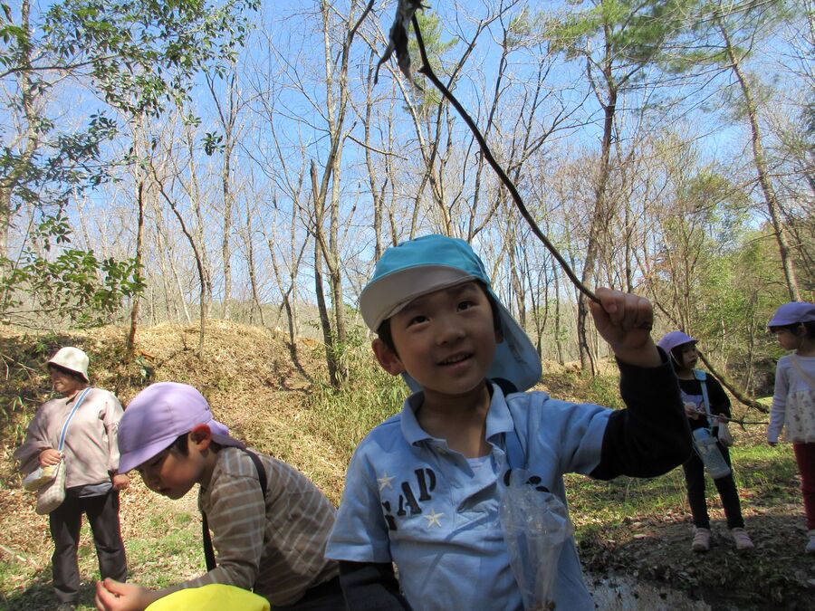 こんなの見つけたよ