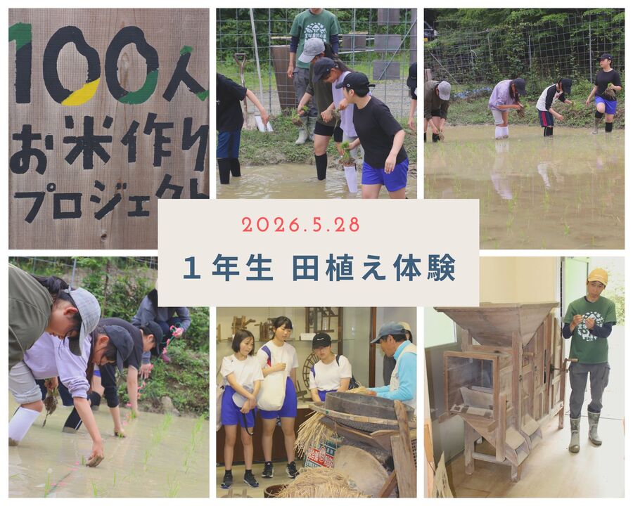 田植え