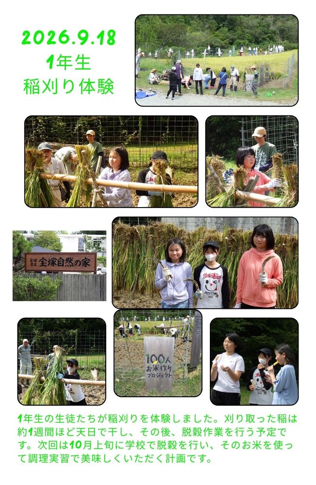 稲刈り