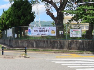 園児募集