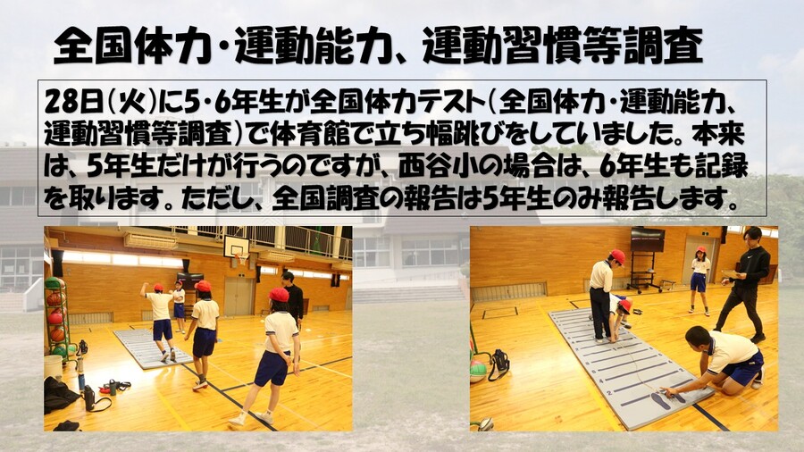 体力テスト