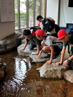 水族館