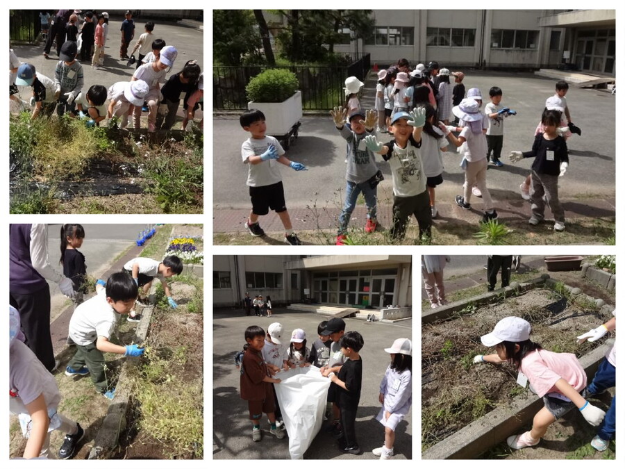 写真