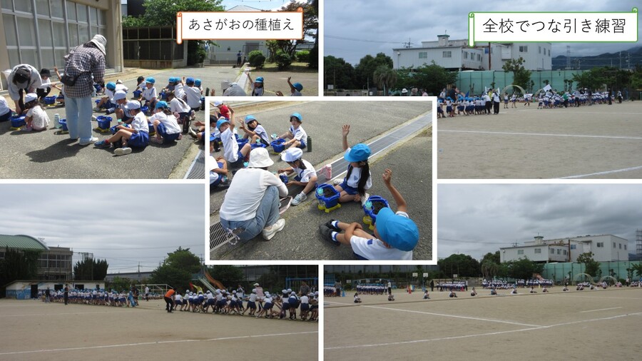 全校練習と1年生の朝顔の種まき