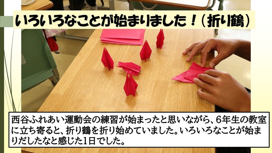 いろいろなことが始まりました