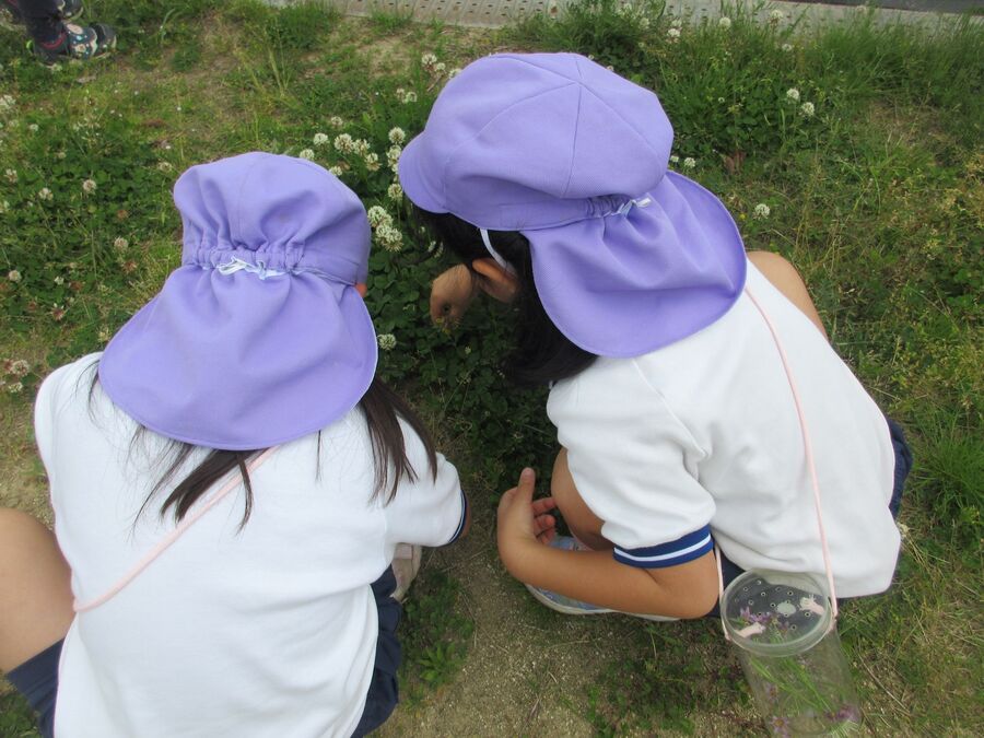 草花