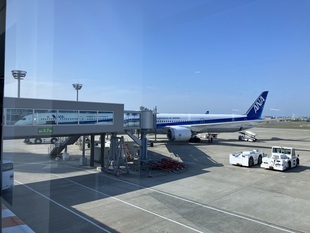 26051909