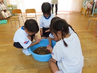 ダンゴムシと遊んでいる子どもたちの写真