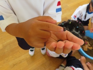 ダンゴムシと遊んでいる子どもたちの写真