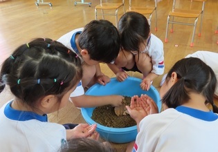 ダンゴムシと遊んでいる子どもたちの写真