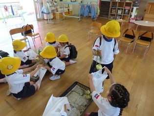 玉ねぎ屋さんになって遊んでいる子どもたちの写真