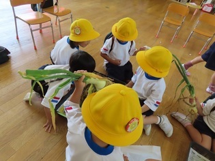 玉ねぎ屋さんになっている子どもたちの写真