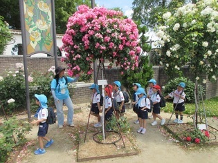 春の遠足に出かけている子どもたちの写真