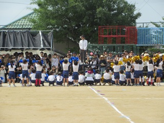 1年