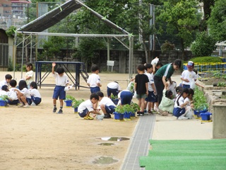 1年